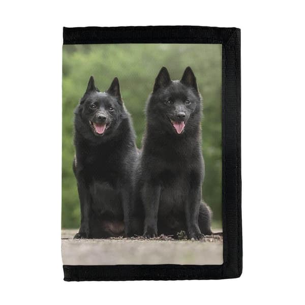 Hundar Schipperke Plånbok