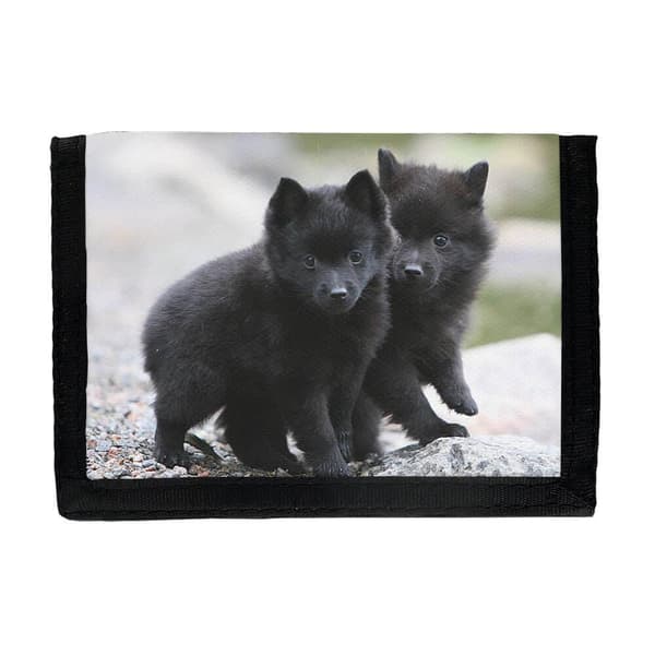 Schipperke Valpar Plånbok