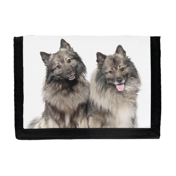 Hundar Keeshond Plånbok