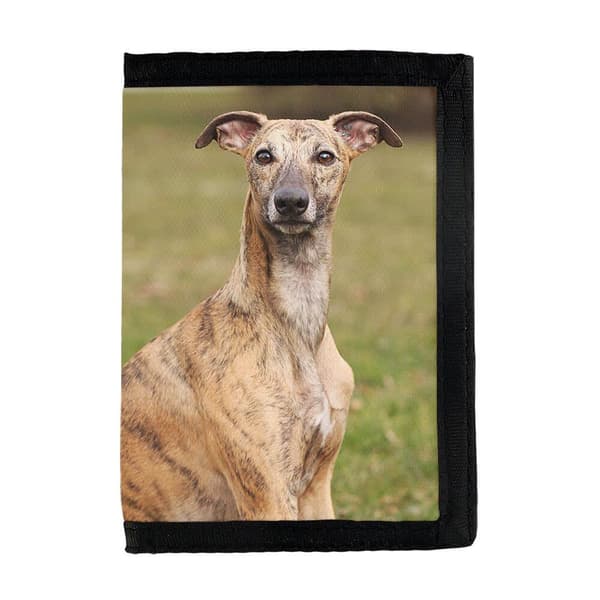Whippet Dog Lompakko