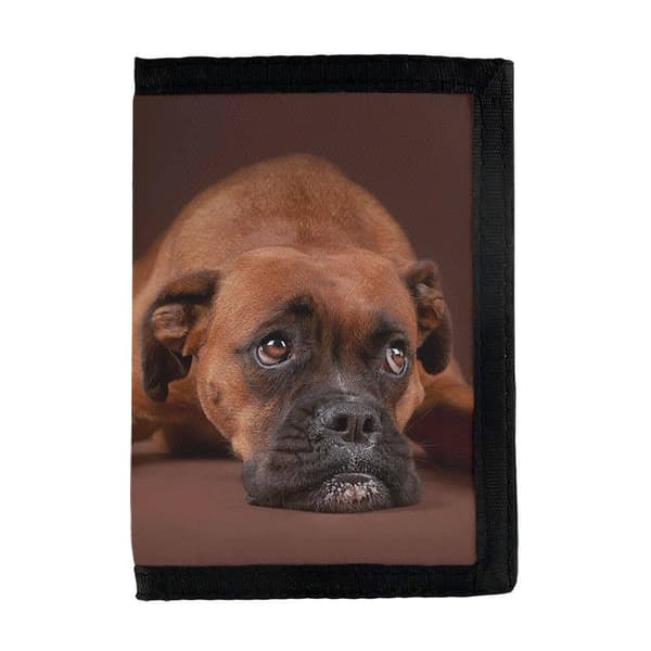 Boxer Dog Tegnebog