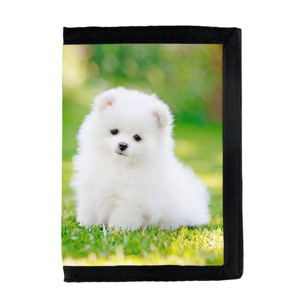 Pomeranian Puppy Lompakko