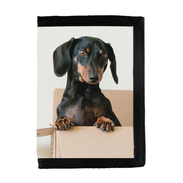Hund Tax Plånbok