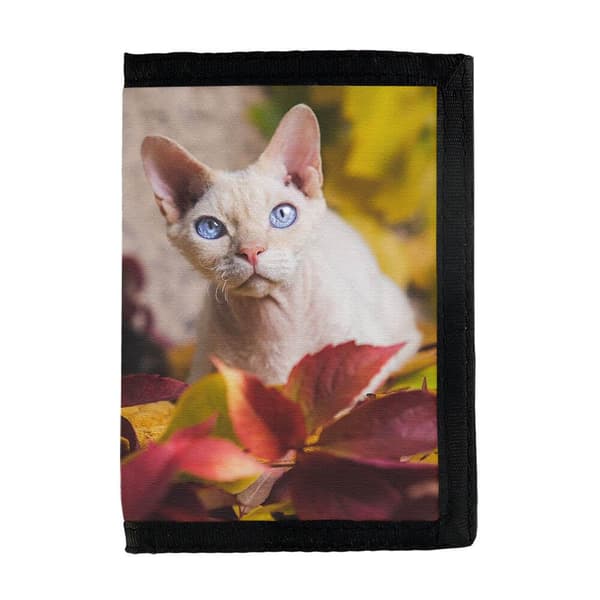 Katt Devon Rex Plånbok
