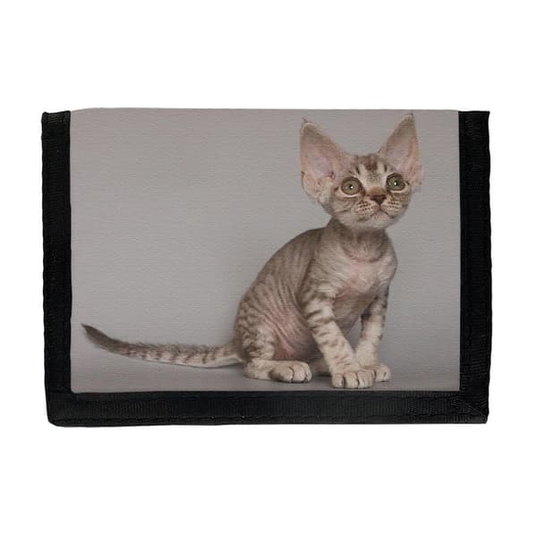 Devon Rex Kattunge Plånbok