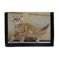 Miniatyrbild 1 av 3: Exotic Kattunge Plånbok