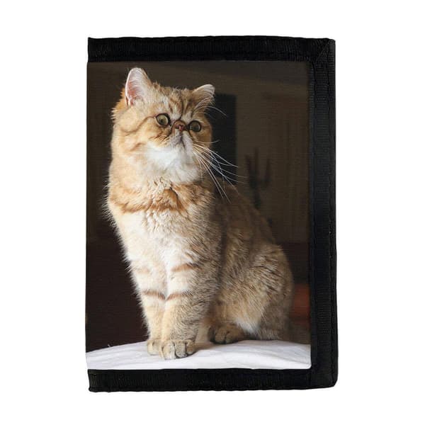 Katt Exotic Korthårig Plånbok