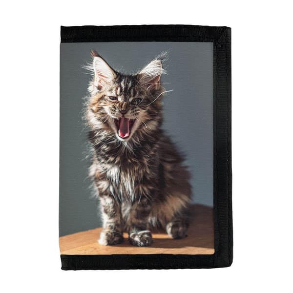 Maine Coon Kitten Lompakko