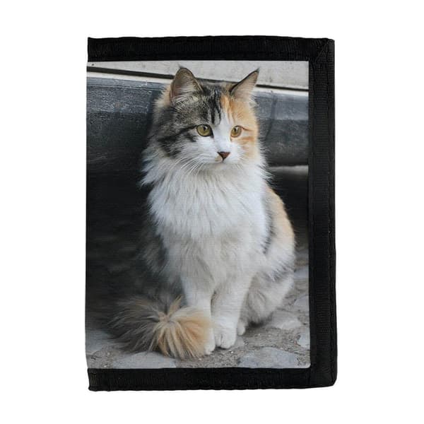 Norsk Skogkatt Kattunge Plånbok