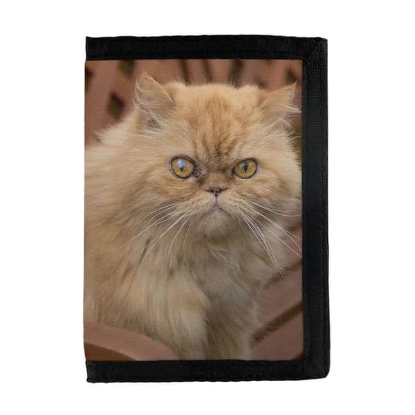 Brun Perser Katt Plånbok