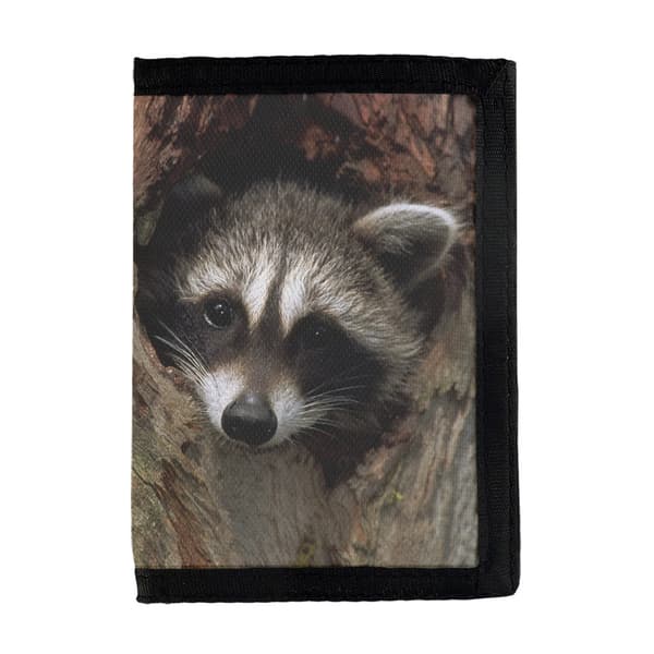 Raccoon Tegnebog