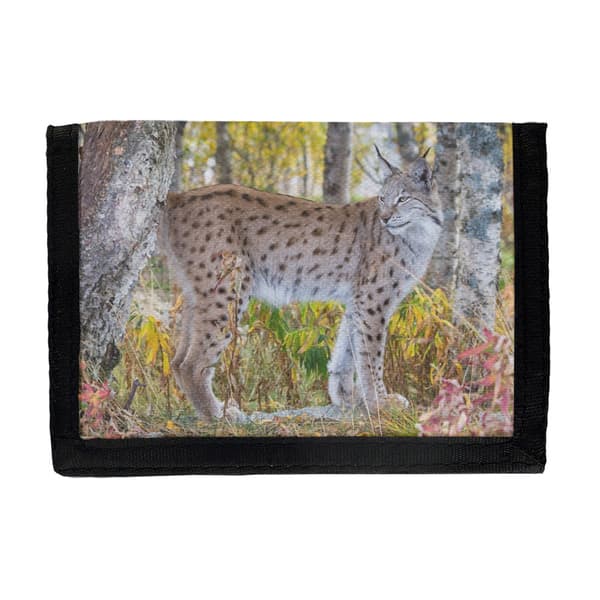 Lynx Tegnebog