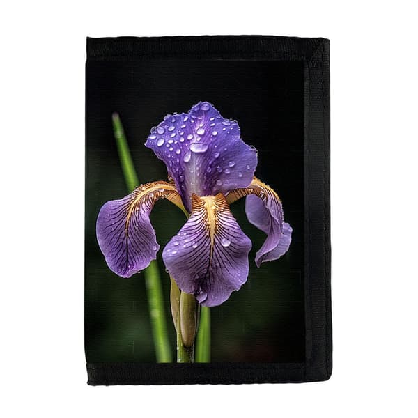 Kukka Iiris Lompakko