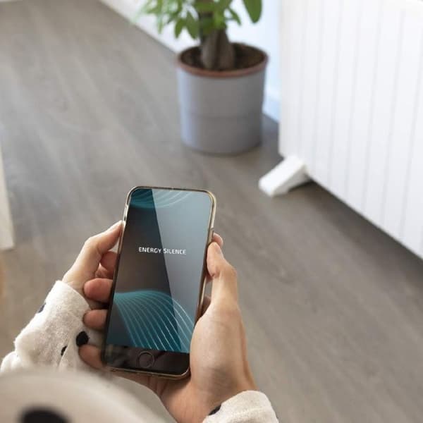 Cecotec Värmeöverföring Ready Warm 2500 Termisk Ansluten
