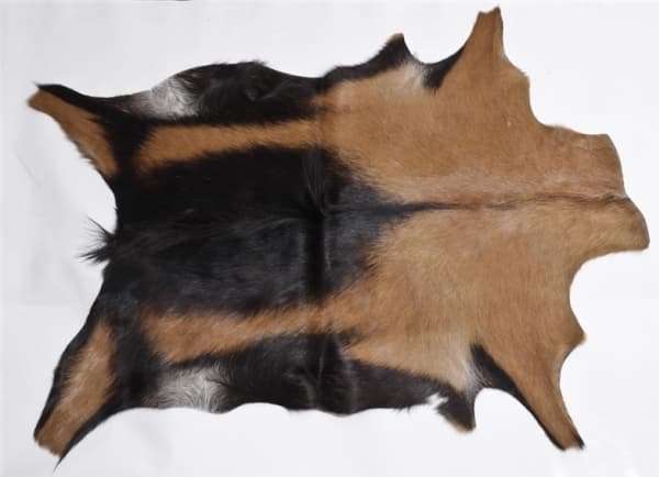 Esbeco Geiter Assorted 55X70