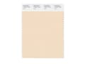 Pikkukuva 4 / 5: FLAT SHEET COTTON 220X240CM BEIGE