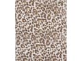 Miniatyrbild 1 av 3: Okko Bedding Cover Set Leopard 100Pes 200X220