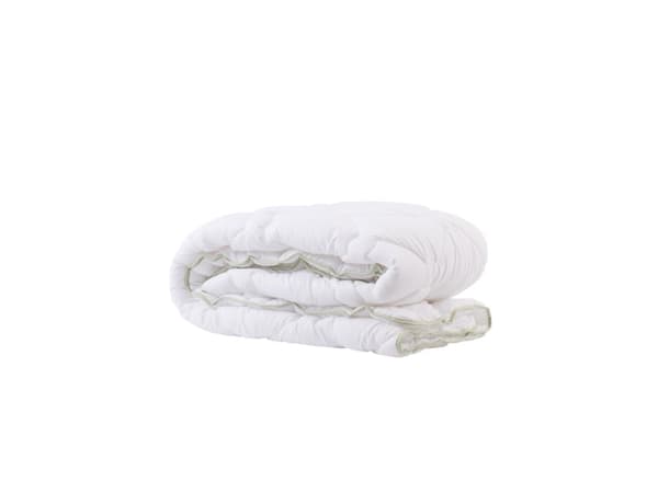 Masterjero Blanket Aloe Vera 220X200 Pes 350Gm2
