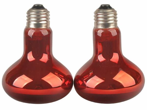 Lucky herp Paket med 2 infraröda värmelampor för reptiler, E27, skruvgänga (50 W)