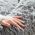 Miniatyrbillede 9 af 11: Hundeseng til mennesker | Human Dog Bed XXL InnovaGoods Grey