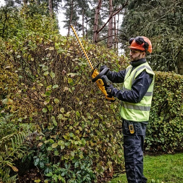 18V XR borstlös häcksax 55cm, kartong