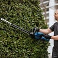 Pikkukuva 2 / 6: Häcksax - Bosch - GHE 18V-60 - Borstlös motor - Klippkapacitet 20 mm - Antiblockeringssystem