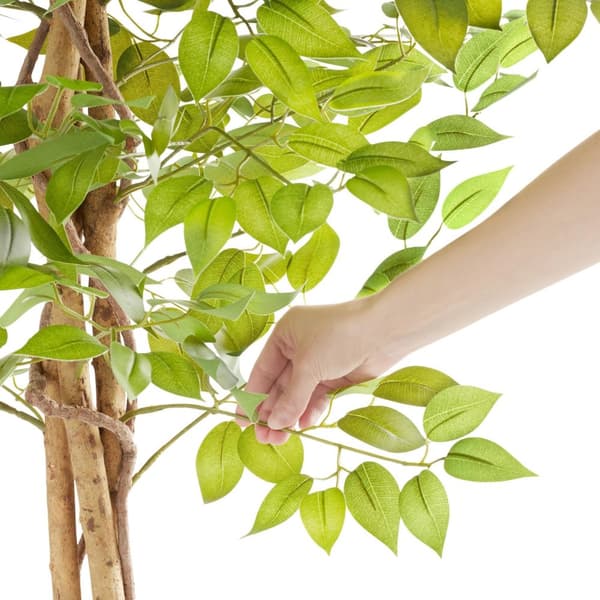 Kunstigt ficustræ Fida, realistisk tekstur - 120 cm