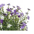 Miniatyrbillede 3 af 4: Kunstig plante i potte sukkulent 28 cm