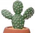 Miniatyrbillede 4 af 4: Kaktus i potte kunstig dekorativ plante 1 stk 14x8,5 cm