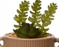Miniatyrbillede 4 af 5: Kaktus i en dekorativ potte kunstig plante 13x13 cm