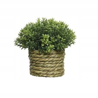 Tekokasvi pajukorissa 16x13cm Elegantti koriste