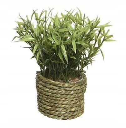Tekokasvi pajukorissa 16x13cm Elegantti koriste