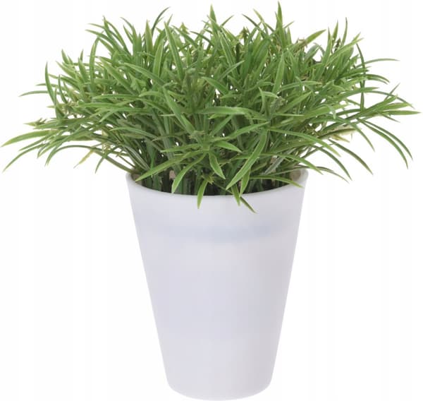 Keinotekoinen koristekasvi 17 cm ruukussa