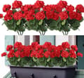 Miniatyrbild 1 av 7: Lollanda Set med fyra konstgjorda blommor för utomhus- och inomhusbruk, blomdekoration, pelargon, UV-resistent för trädgård