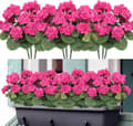 Miniatyrbild 1 av 6: Lollanda Set med fyra konstgjorda blommor för utomhus- och inomhusbruk, blomdekoration, pelargon, UV-resistent för trädgård