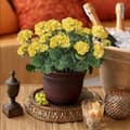 Miniatyrbild 3 av 6: Lollanda Set med fyra konstgjorda blommor för utomhus- och inomhusbruk, blomdekoration, pelargon, UV-resistent för trädgård