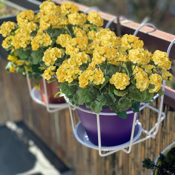 Lollanda Set med fyra konstgjorda blommor för utomhus- och inomhusbruk, blomdekoration, pelargon, UV-resistent för trädgård
