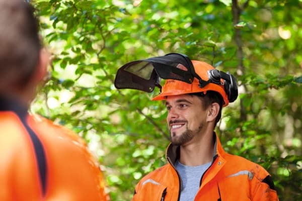 Stihl 00008880810 Peruskypäräsarja, jossa on metsäkypärä, kasvosuoja ja kävelijä