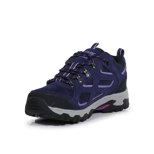 Regatta Womens/Ladies Tebay Waterproof Suede Walking Shoes