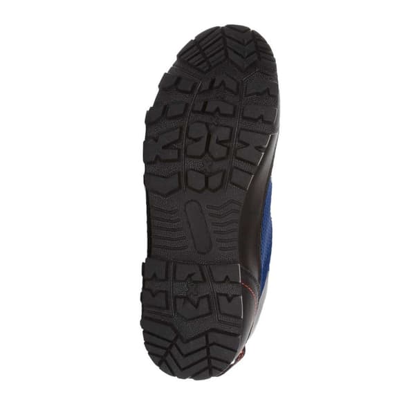 Regatta Mens Blackthorn Evo Walking Boots