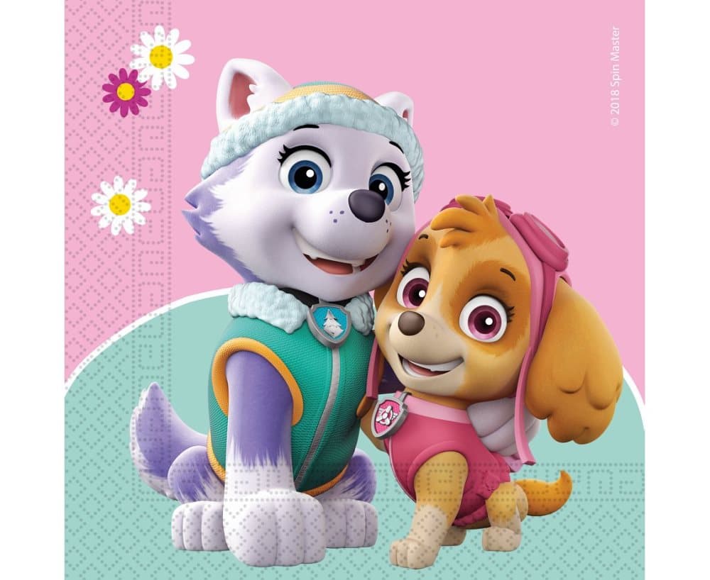 Paw Patrol Skye & Everest- Servetter