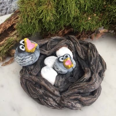 Mold - Birds nest