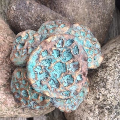 Mold - Coral B