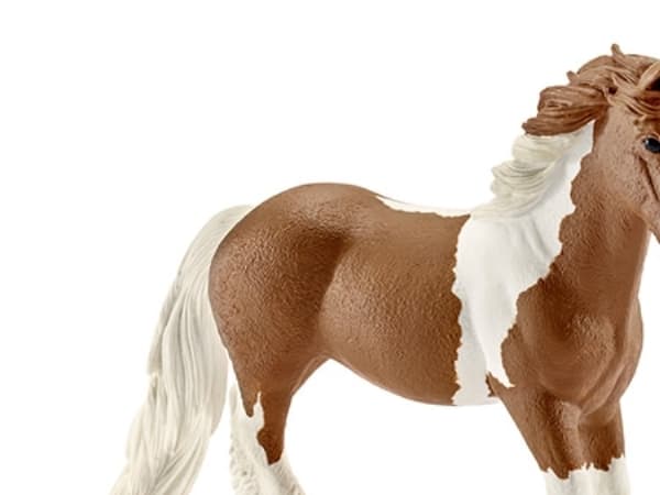 Schleich Tinker mare