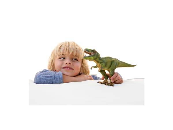 schleich Dinosaurs 14525 leksaksfigurer