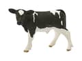 Miniatyrbilde 2 av 5: Schleich Gårdsverden 13798 Holstein Kalv