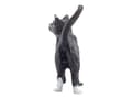Miniatyrbilde 4 av 5: Schleich Farm Life - Black Cat