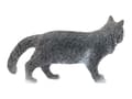 Miniatyrbild 3 av 5: Schleich Farm World - Maine Coon Kat