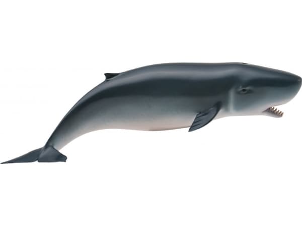 Figurine Collecta Sperm whale young (004-88653)
