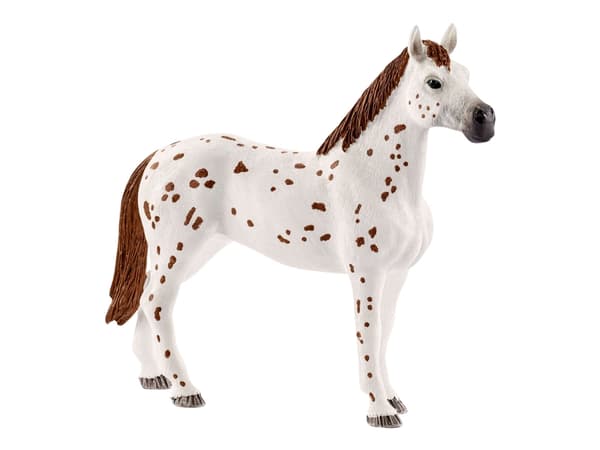 Schleich Tournament training set & Appaloosa hors